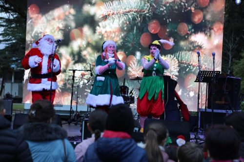 ახალი_წლის_დღეები_2025_1