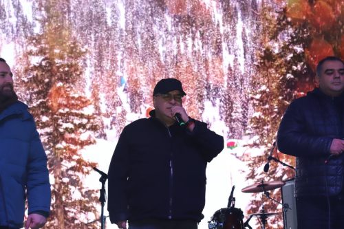 ახალი_წლის_დღეები_2025_11