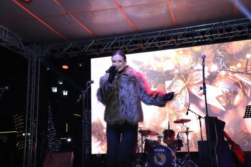 ახალი_წლის_დღეები_2025_14