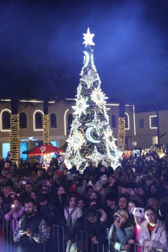 ახალი_წლის_დღეები_2025_19