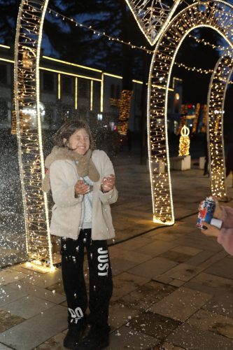 ახალი_წლის_დღეები_2025_24