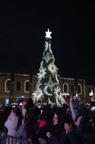 ახალი_წლის_დღეები_2025_4