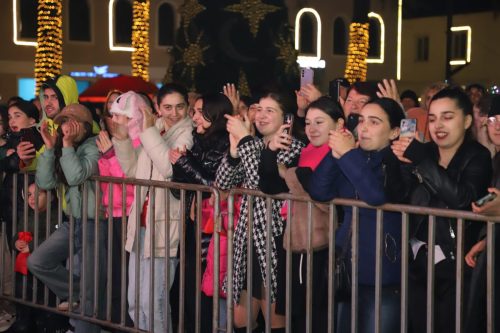 ახალი_წლის_დღეები_2025_9