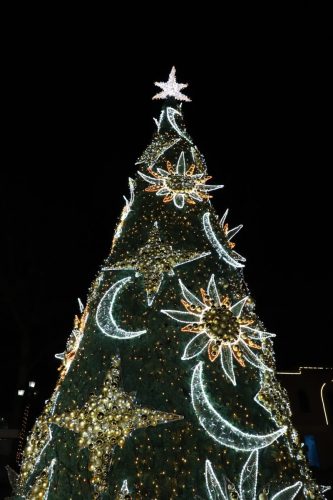 საახალწლოდ_მორთული_მარტვილი_26.12.2025_11