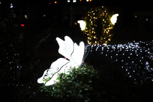 საახალწლოდ_მორთული_მარტვილი_26.12.2025_12