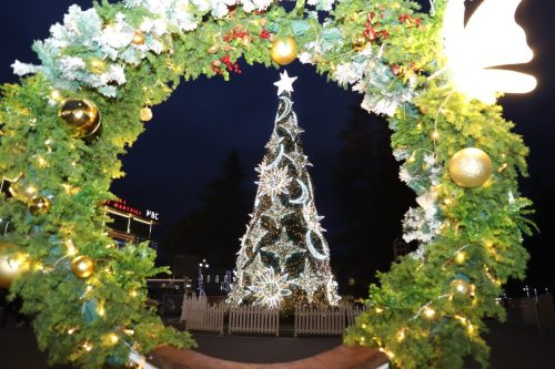 საახალწლოდ_მორთული_მარტვილი_26.12.2025_2