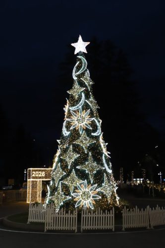საახალწლოდ_მორთული_მარტვილი_26.12.2025_6