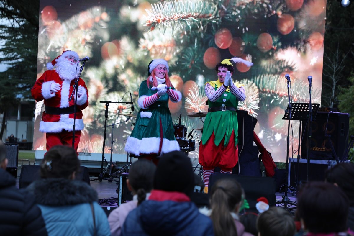 ახალი_წლის_დღეები_2025_1