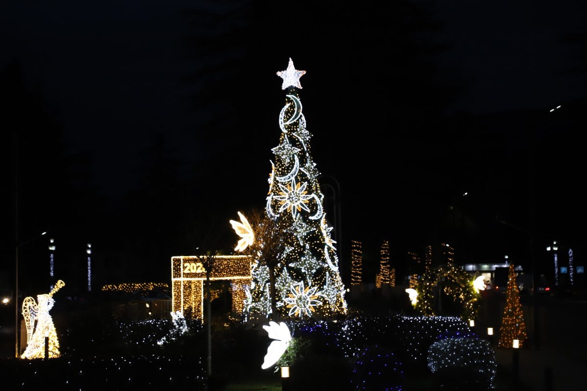 საახალწლოდ_მორთული_მარტვილი_26.12.2025_1